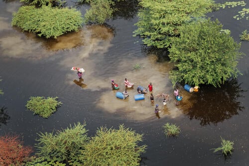 Families heading to dry land in Bentiu. 835,000 people have been directly affected by the flooding.

Across Unity state people’s homes and livelihoods (crops and cattle), as well as health facilities, schools, and markets, are completely submerged by floodwaters.