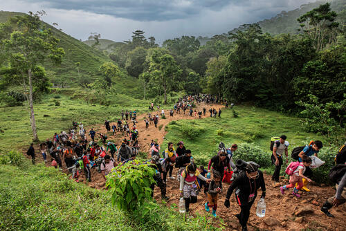 From January to November 2023, almost half a million migrants have crossed the Darién Gap, between Colombia and Panama.