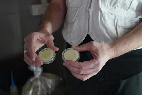 Professor James Ebdon from the University of Brighton shows two Petri dishes, used to identify the presence of viruses in the fecal sludge. This method is five or six times faster than other detection methods, which helps in making timely decisions and appropriately adjusting the treatment process.