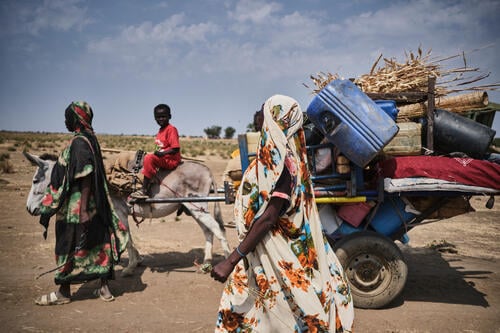 A newly arrived family in Jerbana, just 20 km from the Sudanese border, with all their belongings on a donkey-drawn cart. This is the mode of transport used by most refugees crossing into South Sudan.