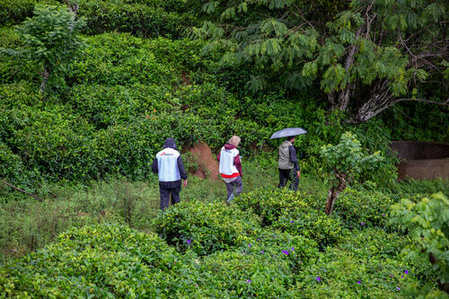 Caroline Chestnutt, MSF water and sanitation team lead, and MSF technical logistics manager, walk towards the well near the temporary safety centre in Aagarathenna, Badulla district, Uva Province, Sri Lanka. The team is assessing the logistics of bringing a water supply to the safety centre from the nearest water source.