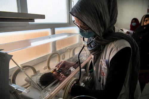 Dr Lia, a paediatrician, examines a baby in the neonatal intensive care unit (NICU) at Boost hospital, Helmand's primary provincial hospital in the capital Lashkar Gah.
