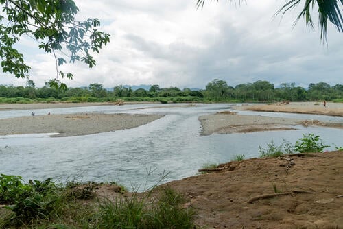 The Turquesa River passing through the town of Bajo Chiquito, in the Emberá-Wounaan region of Panama. People arrive here on foot or in canoes.

El río Turquesa a su paso por el pueblo de Bajo Chiquito (comarca Emberá-Wounaan), en Panamá. Aquí llegan a pie o en piraguas.