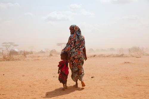 Fierce winds create dust storms in Dadaab refugee camp in Kenya. The last rains were 13 months ago in June 2010.