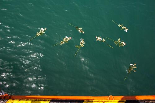 MSF and SOS Méditerranée take a moment to remember those people who lost their life by saying a few words and dropping roses into the sea.

MV Aquarius disembarks 209 people and the dead bodies of 21 women and one man in Trapani, Sicily on the 22nd July 2016.

The search and recue vessel, a partnership between MSF and SOS Méditerranée, responded to a boat in distress on 20th July 2016.