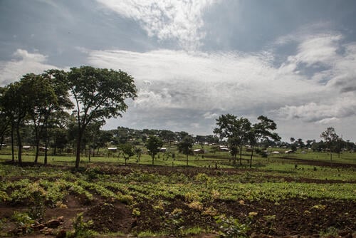 View of Nduta refugee camp.