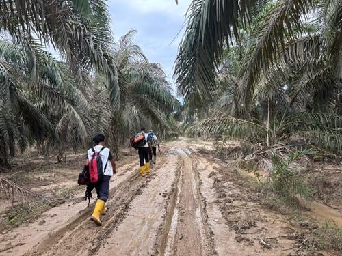 The team travelled on foot to hard-to-reach areas during an assessment in Aceh Tamiang district.