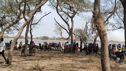 Families shelter under trees in Nyatim, Jonglei State, South Sudan, where displaced people live in the open without adequate shelter, food, or access to basic healthcare after fleeing violence in Lankien and surrounding areas.