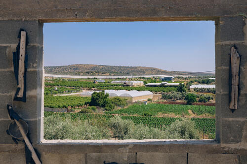  The view from Rana Abu Hajleh's home in Azzun Atma village, Qalqilya governorate. "When I wake up in the morning, the first thing we see is the wall. Then the settlement," says Rana , describing the daily reality outside her home.