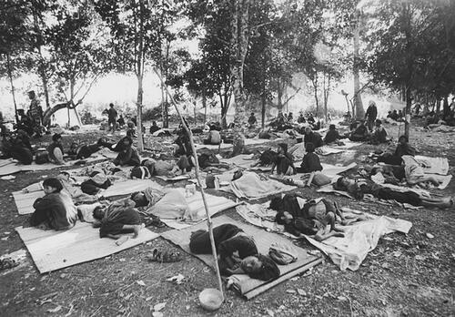 Frontiere cambodgienne. Refugies cambodgiens fuyant le regime des Khmers Rouges et l’occupation vietnamienne.